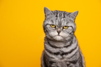 We all hate appraisals. Here’s how to make them better…